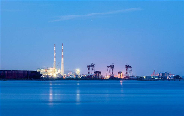 有效保護(hù)火電廠安全—料位傳感器